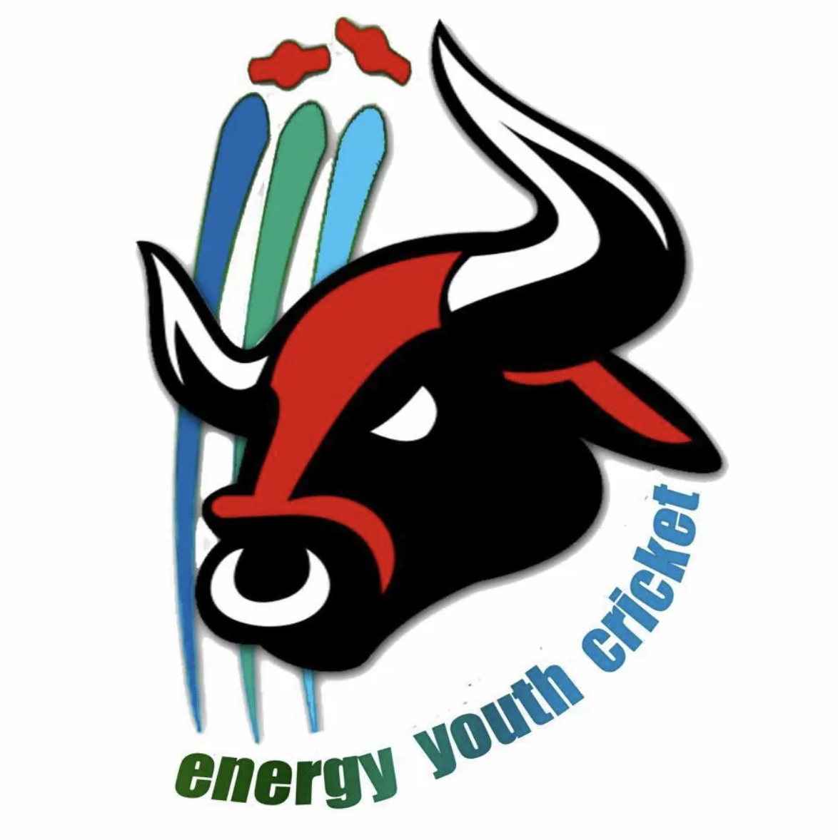 Energy Youth Cricket logo